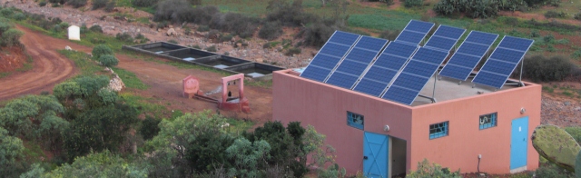 Imagen del contenido web